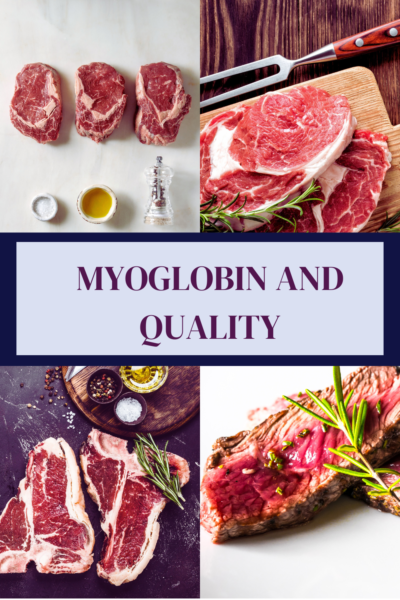 What is myoglobin - in this image, there are different cuts of raw beef that show different colour - a key function of myoglobin