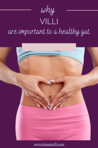 How to have a healthy gut? Improve the health of your villi!